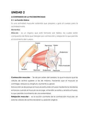 Componentes De La Psicomotricidad