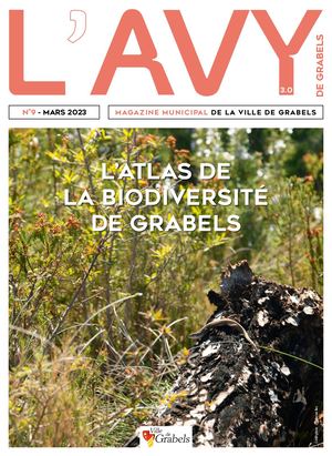 L'avy N°9 Mars 2023 Calameo