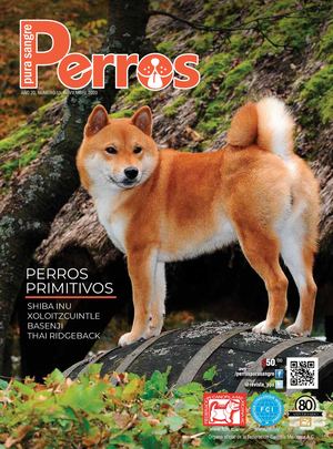 Revista Perros Pura Sangre | noviembre 2020