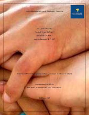 Proyecto De Identificación De Necesidades Educativas