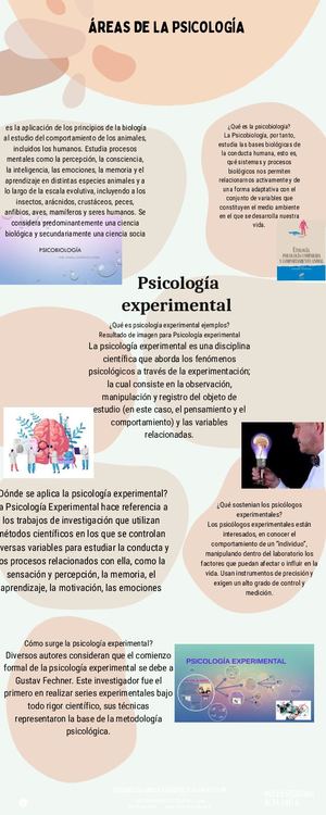 ÁReas De La Psicologia (1)