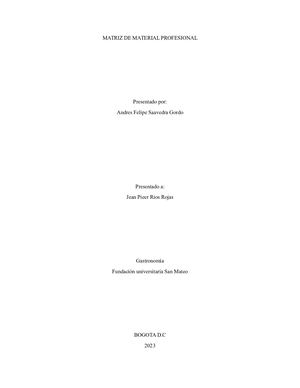 Matriz De Material Profesional