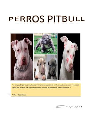 Ensayo Sobre Los Pitbulls