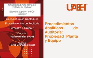 Procedimientos Analíticos De Auditoría Propiedad Planta Y Eq