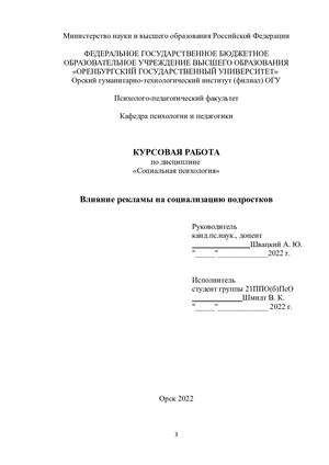 Курсовая работа "Влияние рекламы на социализацию подростков"