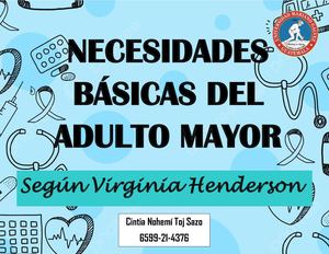 Necesidades Basicas Del Adulto Mayor