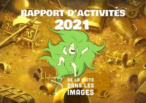 Rapport d'activites 2021