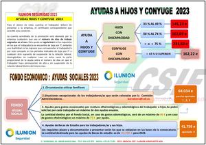 Ayudas Y Prestacion Social Ilunion 2023-26