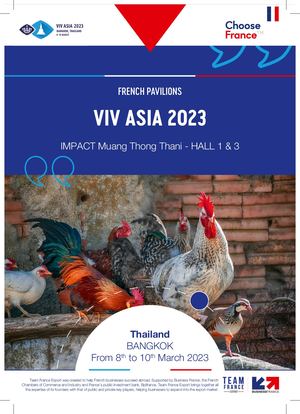 U1172 Viv Asia 230222 Hd