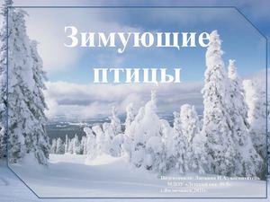Презентация =Зимующие птицы=
