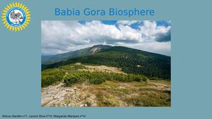Babia Gora