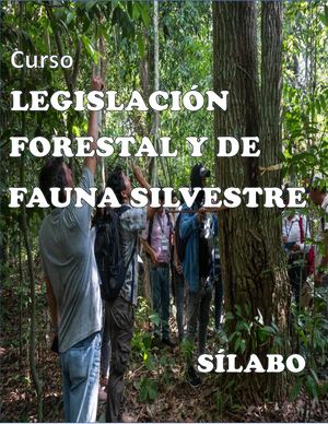 Silabo Lffs 2023