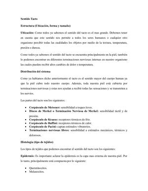 Sentido Tacto