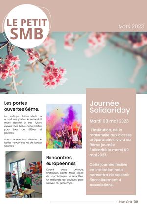 Le Petit Smb Numero 09