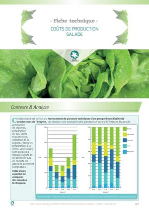 Salade Coûts De Production
