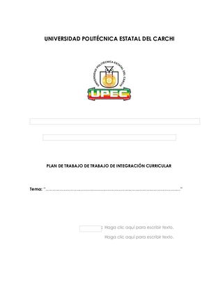 7 Formato Del Plan De Trabajo De Integración Curricular