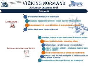 VIGIKING Novembre décembre 2018