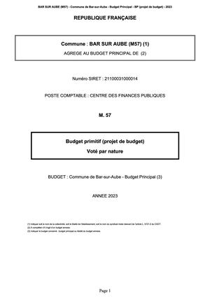 14 Bp 2023 M57 Projet (Budget Principal)