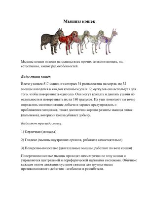 Мышцы кошек