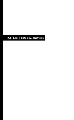 И. С. Бах, Страсти