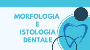 Morfologia E Istologia Dentale