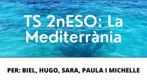Treball De Síntesi La Mediterrània Grup 6 (2)