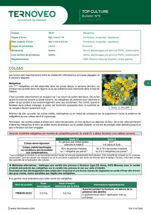 TERNOVEO-Top Culture N9 du 31/03/2023