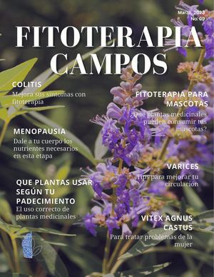 Copia De Revista Fitoterapia Ed 4 Septiembre 2022 (1) Comprimido