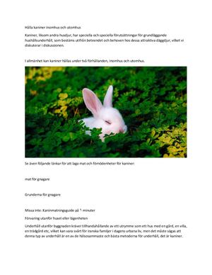 Hålla Kaniner Inomhus Och Utomhus