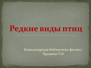 Редкие виды птиц