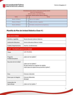 Unidad Didactica Tejidos Docx