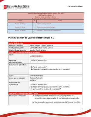 Unidad Didactica Sistema Respirtorio Docx (1)