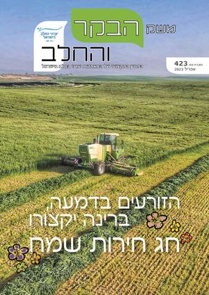 משק הבקר והחלב 423, פסח