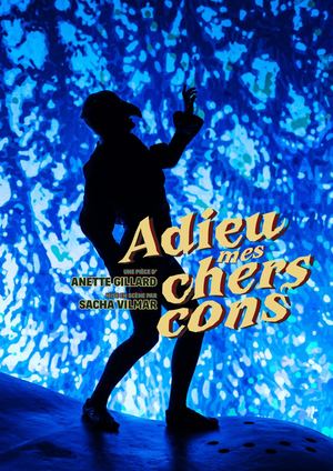 dossier artistique - adieu mes chers cons