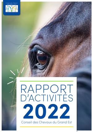 Rapport d'Activité 2022