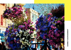 Calaméo - ATECH - Flowering Book