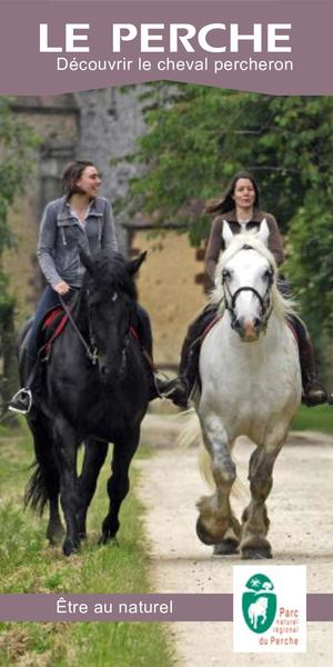 Découvrir le cheval percheron - PNR Perche