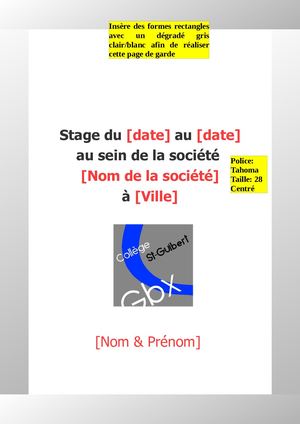 Rapport De Stage Fictif