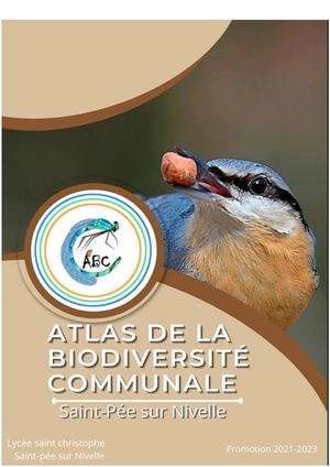 2022 2023 Abc St Pée Sur Nivelle