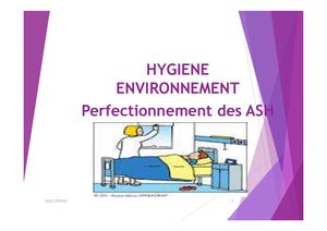 Bionettoyage Ash Mode De Compatibilité