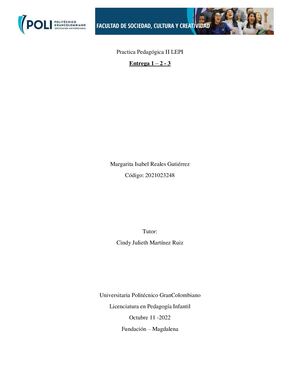 Mi Practica Pedagogica