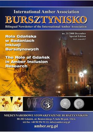 Bursztynisko 31