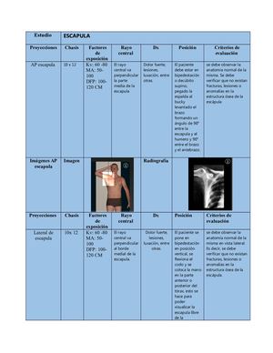 Protocolos de  escapula- torax- tras axilar- reja costal- torax portatil