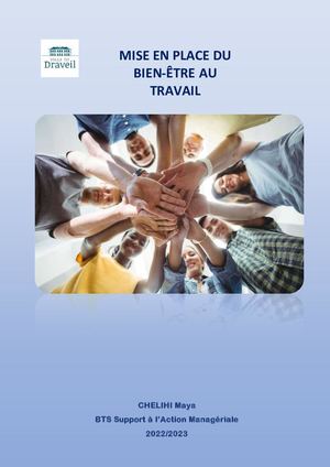 Projet Sur Le Bien ÊTre Au Travail A La Mairie