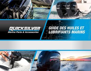 Emea Quicksilver Application Guide Fr 2018 Med Res
