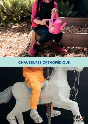 Catalogue Chaussure Converted