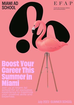 EFAP - Miami Ad School Summer Program Brochure