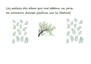 Poésies 6ème Site