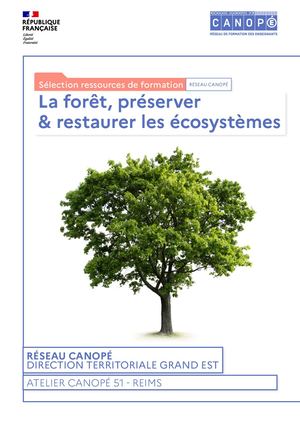 La forêt, préserver & restaurer les écosystèmes - sélection ressources de formation