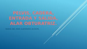 Pelvis, Cadera, Entrada Y Salida,